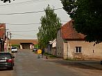 Třibřichy